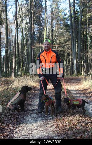 Wildschwein (Sus scrofa) Hundeführer mit Jagdhunden Wachteln und Jagdterrier, alle in Sicherheitskleidung, Allgaeu, Bayern, Deutschland Stockfoto