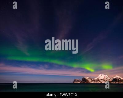 Nordlichter, aurora borealis, über schneebedeckten Bergen am Sternenhimmel, Lofoten, Norwegen Stockfoto