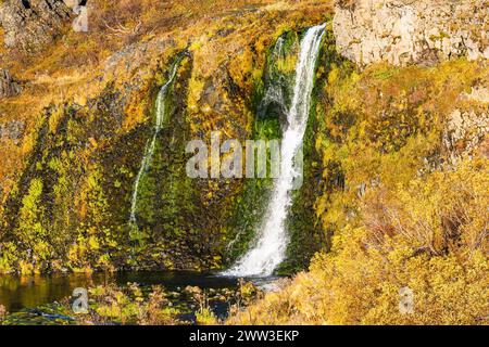 Kleine schäumende Wasserfälle, die von einer Felswände fallen, im Abendlicht, Sudurland, Island Stockfoto