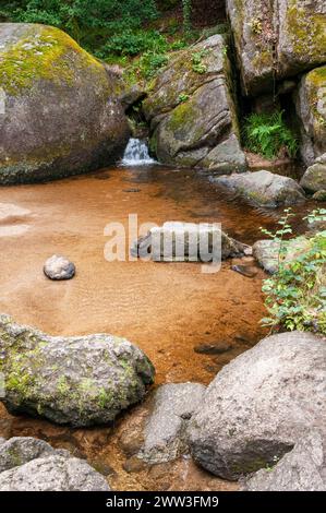 Huelgoat-Wald, Wildschweinteich, Monts d’Arree, regionaler Naturpark Armorica, Huelgoat, Finistere (29), Bretagne, Frankreich Stockfoto