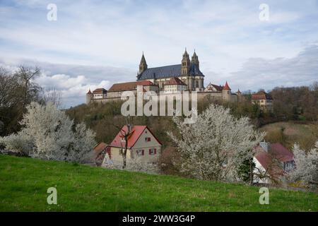 Obstblüte in Steinbach mit Blick auf die Comburg, Benediktinerkloster, Benediktinerkloster, Kloster, Klosterorden, Jakobsweg, Schwaebisch Stockfoto