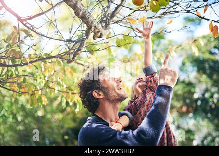 Vater, Tochter und pflücken im Herbst Äpfel mit Bäumen, Blättern und neugierig auf Ökosystem und Umwelt. Familie, Mann und Mädchen Kind mit Obst Stockfoto