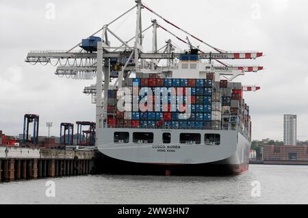 Containerschiff COSCO KOREA, HONGKONG, am Kai im Hafen mit Ladekranen im Hintergrund, Hamburg, Hansestadt Hamburg, Deutschland Stockfoto