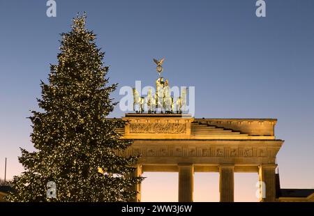 Festlich geschmückter Weihnachtsbaum am Brandenburger Tor, Berlin, 02.12.2016 Stockfoto