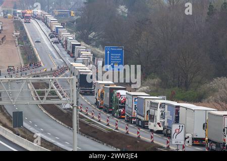 21. März 2024, Bayern, Höchstadt a.d.Aisch: Wegen der vollständigen Sperrung und Umlenkung auf der A3 vor der Ausfahrt Höchstadt-Ost wird der Verkehr auf der rechten Fahrbahn blockiert; eine Stromleitung über die Autobahn bei Pommersfelden war beschädigt worden. Foto: Daniel Löb/dpa Stockfoto