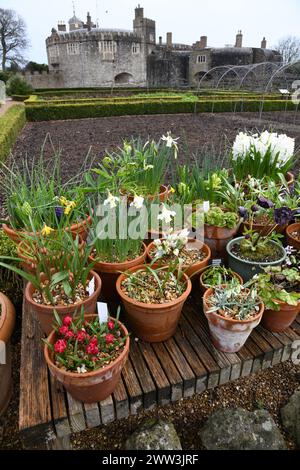 Schloss Gemüsespiel Stockfoto