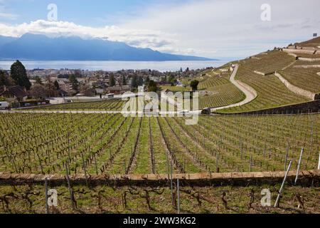 Weinbergsterrassen im UNESCO-Weltkulturerbe Lavaux Weinbergsterrassen mit Blick auf den Genfer See, die Straßen und die Stadt Corsier-sur-Vevey Stockfoto