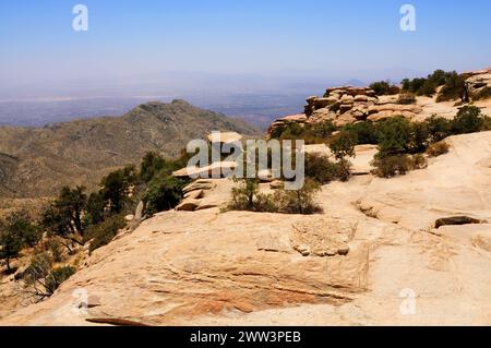 Catalina Mountains, die die Hügel von Tucson Arizona mit Kakteen umgeben Stockfoto