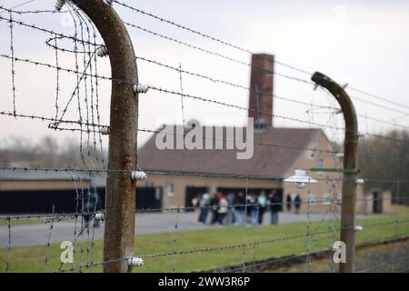 Gedenkstaette Buchenwald Weimar NUR FUER REDAKTIONELLE ZWECKE 21.03.2024, Weimar, Gedenkstaete Buchenwald, Pressegespraech, neue Ergebnisse forensischer Gutachten mit mikroskopischen und Erbgutuntersuchungen menschlicher Ueberreste beweisen die SS-Verbrechen in Buchenwald - hier hat die SS Produkte aus menschlicher, prägsweise taetowierter Haut von Leichen der Haeftlinge hergestellt Kriminalbiologe Dr.Mark Benecke nimmt derzeit die Untersuchungen vor im Bild: ein Zaun mit Stacheldraht ist um das Haeftlingslager gezogen, dahinter zu sehen ist das Krematorium *** Gedenkstaette Buchenwald Weima Stockfoto