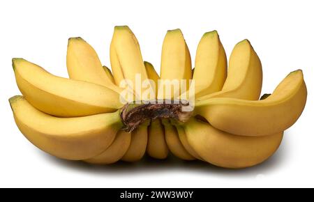 Ein Haufen frischer Bananen, reife tropische Früchte mit hellgelber Schale und herrlich süßem Geschmack, Nahaufnahme und Seitenansicht isoliert auf weißem Hintergrund Stockfoto