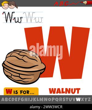 Pädagogische Zeichentrickillustration des Buchstaben W aus dem Alphabet mit Walnuss Stock Vektor