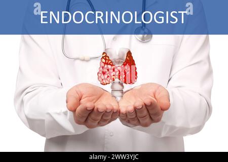 Endokrinologe mit Schilddrüsenabbildung auf weißem Hintergrund, Nahaufnahme Stockfoto