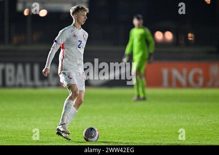 Kobe Corbanie (2) aus Belgien, dargestellt während eines Fußballspiels zwischen den U19-Nationalmannschaften Frankreichs und Belgiens am 1. Spieltag in der Gruppe 2 der UEFA-U19-Elite-Runde am Donnerstag, den 20. März 2024 in Assen , Niederlande . FOTO SPORTPIX | David Catry Stockfoto