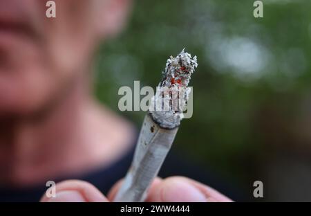 Augsburg, Deutschland. März 2024. Ein Mann hält einen Joint. Der Bundestag hat eine kontrollierte Freisetzung zum 1. April beschlossen. Die Entscheidung des Bundesrates steht jedoch noch aus. Für die umstrittene Legalisierung von Cannabis am kommenden Freitag, den 22. März, gibt es im Bundesrat noch keine klare Mehrheit. Quelle: Karl-Josef Hildenbrand/dpa/Alamy Live News Stockfoto