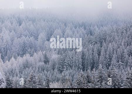 Verschneite und mit Raureif verzierte Winterlandschaft bei Eibenstock, Erzgebirge, Sachsen, Deutschland *** verschneite Winterlandschaft mit Raureif verziert Stockfoto