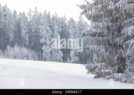 Verschneite und mit Raureif verzierte Winterlandschaft bei Eibenstock, Erzgebirge, Sachsen, Deutschland *** verschneite Winterlandschaft mit Raureif verziert Stockfoto