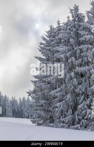 Verschneite und mit Raureif verzierte Winterlandschaft bei Eibenstock, Erzgebirge, Sachsen, Deutschland *** verschneite Winterlandschaft mit Raureif verziert Stockfoto