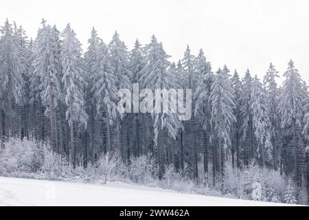 Verschneite und mit Raureif verzierte Winterlandschaft bei Eibenstock, Erzgebirge, Sachsen, Deutschland *** verschneite Winterlandschaft mit Raureif verziert Stockfoto