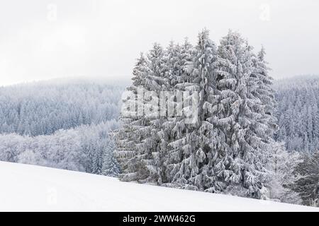 Verschneite und mit Raureif verzierte Winterlandschaft bei Eibenstock, Erzgebirge, Sachsen, Deutschland *** verschneite Winterlandschaft mit Raureif verziert Stockfoto