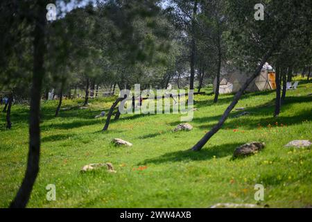 Har Amasa (Berg Amasa) ist ein Moshav-Shitufi im Süden Israels. Gelegen in der Nähe des Yatir-Waldes 20 km südlich von Hebron und 14 km Nort Stockfoto