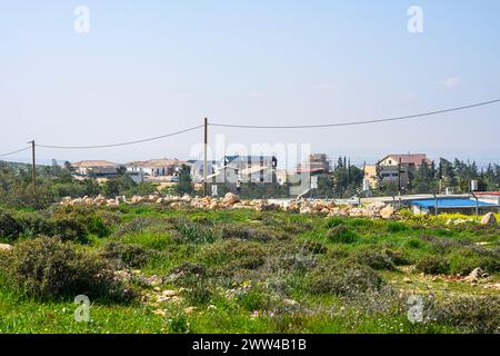 Har Amasa (Berg Amasa) ist ein Moshav-Shitufi im Süden Israels. Gelegen in der Nähe des Yatir-Waldes 20 km südlich von Hebron und 14 km Nort Stockfoto