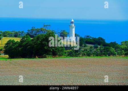 Poppy Fields Table Cape Lighthouse Burnie Tasmania Australien Tasmanische See Indischer Ozean Südpazifik Emu Bay Stockfoto