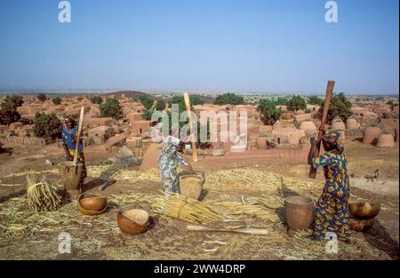 Niger, außerhalb des Dorfes Tahoua in der Sahelzone schlagen Frauen aus dem Stamm der Haussa die gerade geerntete Hirse. Stockfoto