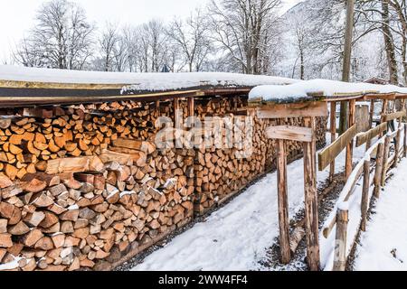 Im Winter ein Stapel Brennholz Stockfoto