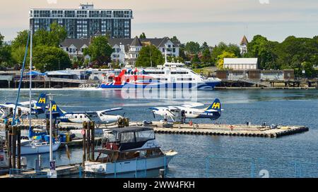 Drei Harbor Air-Float-Flugzeuge, die an einem Kai im inneren Hafen von Victoria mit der Clipper-Fähre im Hintergrund ankern Stockfoto