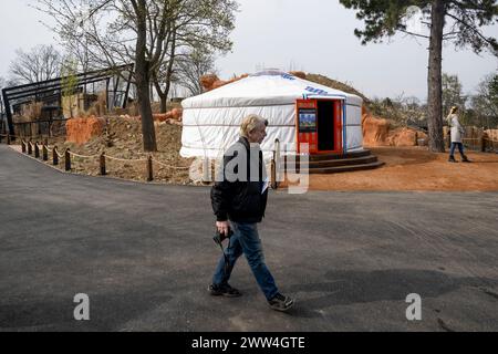 Prag, Tschechische Republik. März 2024. Neue Gobi-Ausstellung des Prager Zoos am 21. März 2024 in Prag, Tschechien. Die Ausstellung der mongolischen Fauna namens Gobi wird am Samstag, 23. März 2024, der Öffentlichkeit zugänglich sein. Quelle: Ondrej Deml/CTK Photo/Alamy Live News Stockfoto