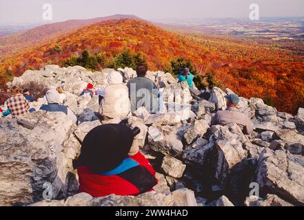 BESUCHER BEOBACHTEN WANDERNDE GREIFVÖGEL, SÜD OVERLOOK, HAWK MOUNTAIN SANCTUARY, PENNSYLVANIA, USA Stockfoto