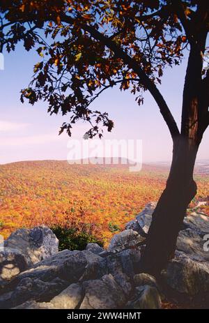 MIGRATING RAPTORS, SOUTH OVERLOOK, HAWK MOUNTAIN SANCTUARY, PENNSYLVANIA, USA Stockfoto