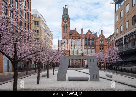 Leute, die die rosa Frühlingsblüte am Oozells Square, Brindley Place, Birmingham, bewundern und fotografieren Stockfoto