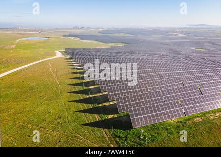 Ein großes Feld von Solarpaneelen ist von oben sichtbar. Die Felder sind in Reihen angeordnet und über das Feld verteilt. Der Himmel ist klar und die Sonne Stockfoto