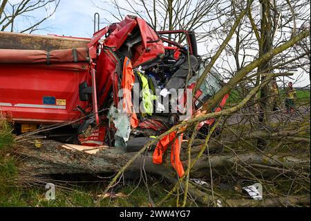 Leipzig - LKW kommt von Straße ab und kracht in Baum: Eingeklemmter Fahrer muss von Feuerwehr befreit werden - schwer verletzt 18.03.2024 gegen 14,30 Uhr Leipzig-Liebertwolkwitz, Güldengossaer Straße zu einem schweren Unfall kam es am Montagnachmittag gegen 14,30 Uhr in Markkleeberg. Nach ersten Angaben der Polizei war der Fahrer eines Lastwagens mit Anhänger auf der Güldengossaer Straße von Liebertwolkwitz kommend in Richtung Güldengossa unterwegs, als er aus bislang ungeklärter Ursache nach rechts von der Fahrbahn abkam und schwer mit einem Baum am Straßenrand kollidiert ist. Der LKW fällte Stockfoto