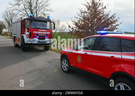 Leipzig - LKW kommt von Straße ab und kracht in Baum: Eingeklemmter Fahrer muss von Feuerwehr befreit werden - schwer verletzt 18.03.2024 gegen 14,30 Uhr Leipzig-Liebertwolkwitz, Güldengossaer Straße zu einem schweren Unfall kam es am Montagnachmittag gegen 14,30 Uhr in Markkleeberg. Nach ersten Angaben der Polizei war der Fahrer eines Lastwagens mit Anhänger auf der Güldengossaer Straße von Liebertwolkwitz kommend in Richtung Güldengossa unterwegs, als er aus bislang ungeklärter Ursache nach rechts von der Fahrbahn abkam und schwer mit einem Baum am Straßenrand kollidiert ist. Der LKW fällte Stockfoto