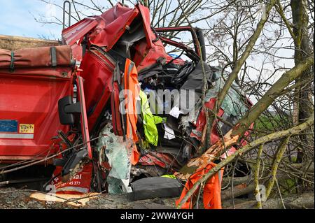 Leipzig - LKW kommt von Straße ab und kracht in Baum: Eingeklemmter Fahrer muss von Feuerwehr befreit werden - schwer verletzt 18.03.2024 gegen 14,30 Uhr Leipzig-Liebertwolkwitz, Güldengossaer Straße zu einem schweren Unfall kam es am Montagnachmittag gegen 14,30 Uhr in Markkleeberg. Nach ersten Angaben der Polizei war der Fahrer eines Lastwagens mit Anhänger auf der Güldengossaer Straße von Liebertwolkwitz kommend in Richtung Güldengossa unterwegs, als er aus bislang ungeklärter Ursache nach rechts von der Fahrbahn abkam und schwer mit einem Baum am Straßenrand kollidiert ist. Der LKW fällte Stockfoto