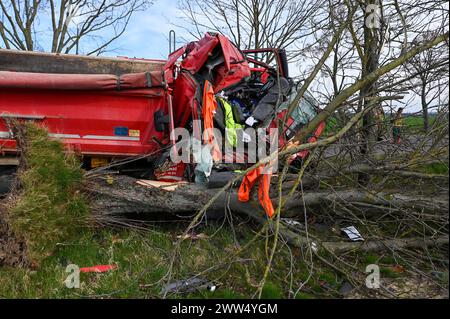 Leipzig - LKW kommt von Straße ab und kracht in Baum: Eingeklemmter Fahrer muss von Feuerwehr befreit werden - schwer verletzt 18.03.2024 gegen 14,30 Uhr Leipzig-Liebertwolkwitz, Güldengossaer Straße zu einem schweren Unfall kam es am Montagnachmittag gegen 14,30 Uhr in Markkleeberg. Nach ersten Angaben der Polizei war der Fahrer eines Lastwagens mit Anhänger auf der Güldengossaer Straße von Liebertwolkwitz kommend in Richtung Güldengossa unterwegs, als er aus bislang ungeklärter Ursache nach rechts von der Fahrbahn abkam und schwer mit einem Baum am Straßenrand kollidiert ist. Der LKW fällte Stockfoto