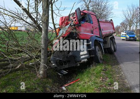 Leipzig - LKW kommt von Straße ab und kracht in Baum: Eingeklemmter Fahrer muss von Feuerwehr befreit werden - schwer verletzt 18.03.2024 gegen 14,30 Uhr Leipzig-Liebertwolkwitz, Güldengossaer Straße zu einem schweren Unfall kam es am Montagnachmittag gegen 14,30 Uhr in Markkleeberg. Nach ersten Angaben der Polizei war der Fahrer eines Lastwagens mit Anhänger auf der Güldengossaer Straße von Liebertwolkwitz kommend in Richtung Güldengossa unterwegs, als er aus bislang ungeklärter Ursache nach rechts von der Fahrbahn abkam und schwer mit einem Baum am Straßenrand kollidiert ist. Der LKW fällte Stockfoto