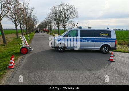 Leipzig - LKW kommt von Straße ab und kracht in Baum: Eingeklemmter Fahrer muss von Feuerwehr befreit werden - schwer verletzt 18.03.2024 gegen 14,30 Uhr Leipzig-Liebertwolkwitz, Güldengossaer Straße zu einem schweren Unfall kam es am Montagnachmittag gegen 14,30 Uhr in Markkleeberg. Nach ersten Angaben der Polizei war der Fahrer eines Lastwagens mit Anhänger auf der Güldengossaer Straße von Liebertwolkwitz kommend in Richtung Güldengossa unterwegs, als er aus bislang ungeklärter Ursache nach rechts von der Fahrbahn abkam und schwer mit einem Baum am Straßenrand kollidiert ist. Der LKW fällte Stockfoto