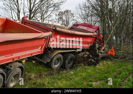 Leipzig - LKW kommt von Straße ab und kracht in Baum: Eingeklemmter Fahrer muss von Feuerwehr befreit werden - schwer verletzt 18.03.2024 gegen 14,30 Uhr Leipzig-Liebertwolkwitz, Güldengossaer Straße zu einem schweren Unfall kam es am Montagnachmittag gegen 14,30 Uhr in Markkleeberg. Nach ersten Angaben der Polizei war der Fahrer eines Lastwagens mit Anhänger auf der Güldengossaer Straße von Liebertwolkwitz kommend in Richtung Güldengossa unterwegs, als er aus bislang ungeklärter Ursache nach rechts von der Fahrbahn abkam und schwer mit einem Baum am Straßenrand kollidiert ist. Der LKW fällte Stockfoto