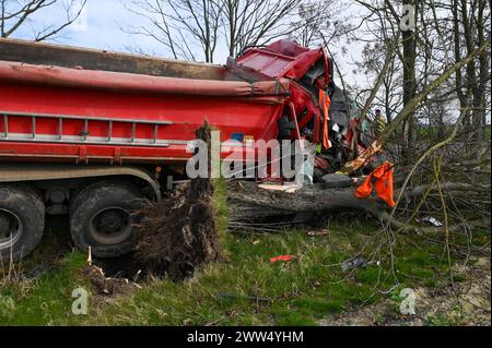 Leipzig - LKW kommt von Straße ab und kracht in Baum: Eingeklemmter Fahrer muss von Feuerwehr befreit werden - schwer verletzt 18.03.2024 gegen 14,30 Uhr Leipzig-Liebertwolkwitz, Güldengossaer Straße zu einem schweren Unfall kam es am Montagnachmittag gegen 14,30 Uhr in Markkleeberg. Nach ersten Angaben der Polizei war der Fahrer eines Lastwagens mit Anhänger auf der Güldengossaer Straße von Liebertwolkwitz kommend in Richtung Güldengossa unterwegs, als er aus bislang ungeklärter Ursache nach rechts von der Fahrbahn abkam und schwer mit einem Baum am Straßenrand kollidiert ist. Der LKW fällte Stockfoto