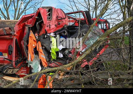 Leipzig - LKW kommt von Straße ab und kracht in Baum: Eingeklemmter Fahrer muss von Feuerwehr befreit werden - schwer verletzt 18.03.2024 gegen 14,30 Uhr Leipzig-Liebertwolkwitz, Güldengossaer Straße zu einem schweren Unfall kam es am Montagnachmittag gegen 14,30 Uhr in Markkleeberg. Nach ersten Angaben der Polizei war der Fahrer eines Lastwagens mit Anhänger auf der Güldengossaer Straße von Liebertwolkwitz kommend in Richtung Güldengossa unterwegs, als er aus bislang ungeklärter Ursache nach rechts von der Fahrbahn abkam und schwer mit einem Baum am Straßenrand kollidiert ist. Der LKW fällte Stockfoto