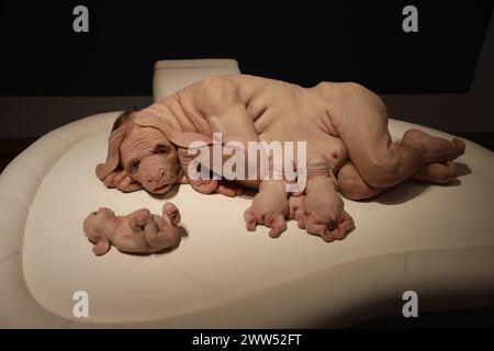 21.03.2024 Sachsen Anhalt Sachsen-Anhalt Kunsthalle Talstraße Galerie in Halle Saale erste Werkschau der australischen Künstlerin Patricia Piccinini in Deutschland die Zukunft mit den Augen der Künstlerin zu sehen, kann etwas irritierend sein. Ihr künstlerisches Universum beherbergt imaginäre Kreaturen, die sich den üblichen Kategorien Mensch, Tier, Natur oder Technik nicht unterordnet. Stattdessen nehmen sie als hybride Geschöpfe einen eigenen Platz in diesem Universum ein. Auf den ersten Blick erscheinen sie unheimlich, denn sie wurden durch neue technologische Möglichkeiten biologisch oder Stockfoto