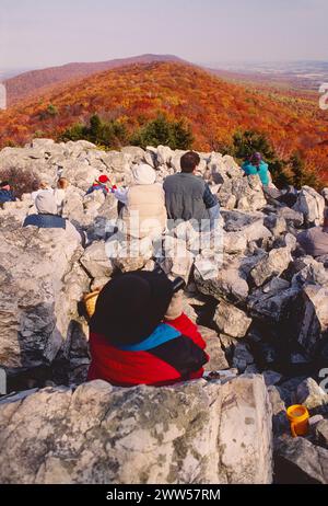 BESUCHER BEOBACHTEN WANDERNDE GREIFVÖGEL, SÜD OVERLOOK, HAWK MOUNTAIN SANCTUARY, PENNSYLVANIA, USA Stockfoto