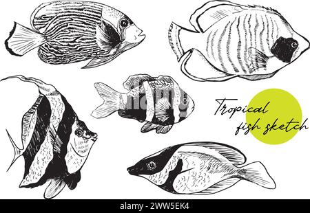 Handgezeichnete Naturelemente unter Wasser. Skizze exotischer Aquarienfische. Einfarbiges Tierset. Schwarzweiß-Illustrationen. Stock Vektor