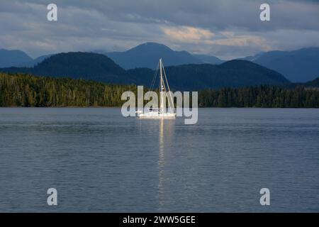 Ein Katamaran, der durch die pazifischen Gewässer des Great Bear Rainforest in der Nähe von Bella Bella, British Columbia, Kanada fährt. Stockfoto