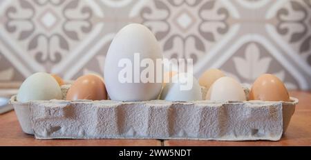 Große Gänseeier in Freilandhaltung zwischen Hühnern. Auf der Kartonverpackung anzeigen Stockfoto