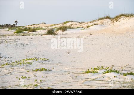 Sanddünen in der Abenddämmerung auf Anastasia Island in Crescent Beach, Florida. (USA) Stockfoto