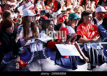 Melbourne, Victoria, Australien. März 2024. MELBOURNE, AUSTRALIEN - 22. MÄRZ: Fanatmosphäre beim Großen Preis von Australien 2024 im Albert Park in Melbourne, Australien (Foto: © Chris Putnam/ZUMA Press Wire) NUR REDAKTIONELLE VERWENDUNG! Nicht für kommerzielle ZWECKE! Stockfoto